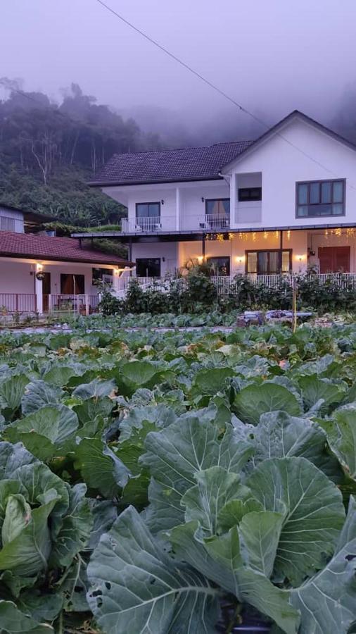 Ng Family'S Farm Stay Cameron Highlands Kültér fotó