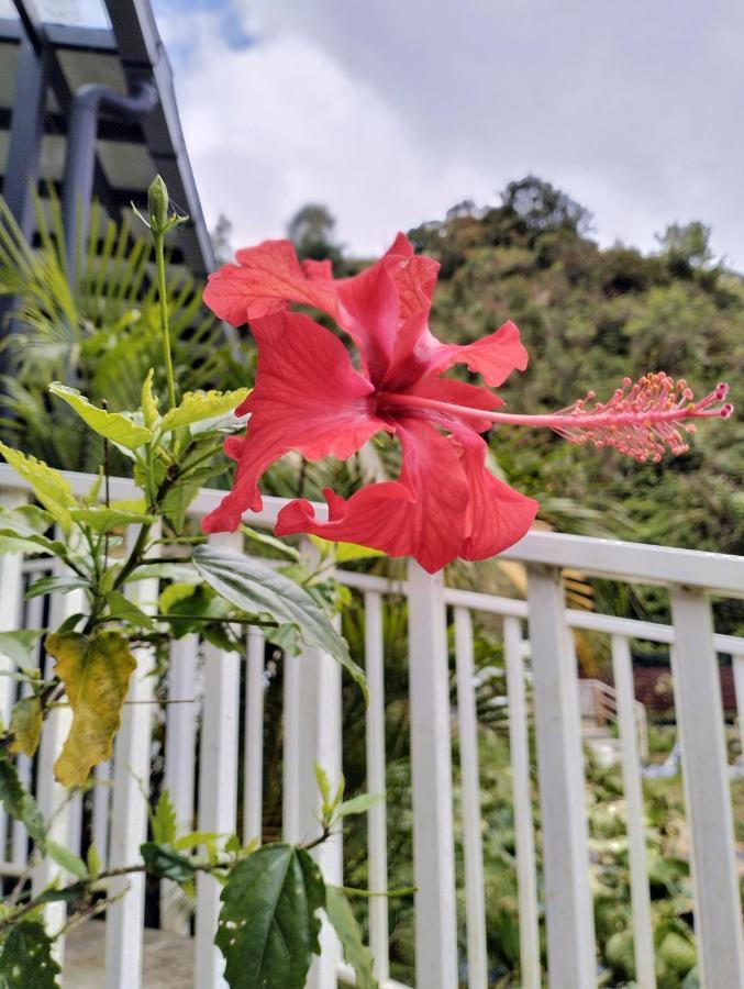 Ng Family'S Farm Stay Cameron Highlands Kültér fotó